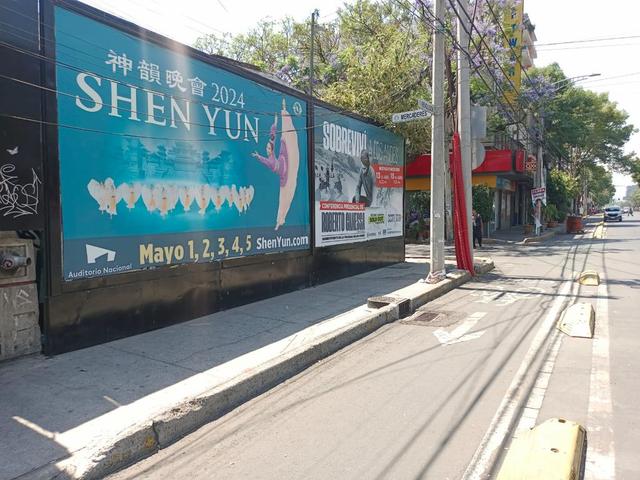Foto de la galeria de imagenes